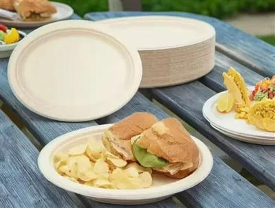 7 Inches Sugarcane Bagasse Plate