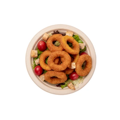 Characteristics Of Sugarcane Pulp Eco-Friendly Tableware
