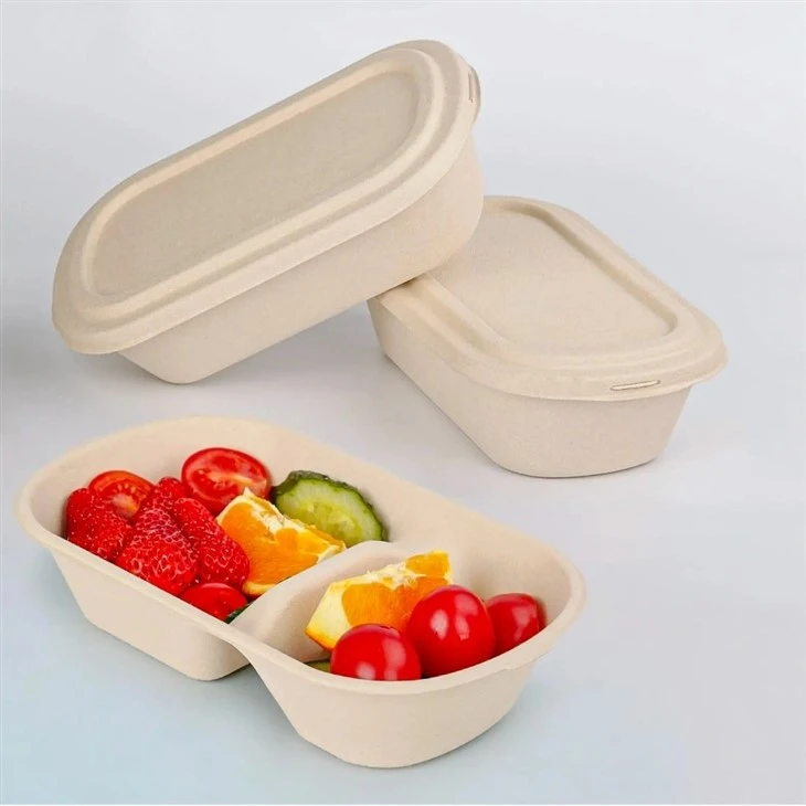 Sugarcane Bagasse Lunch Box Food Container
